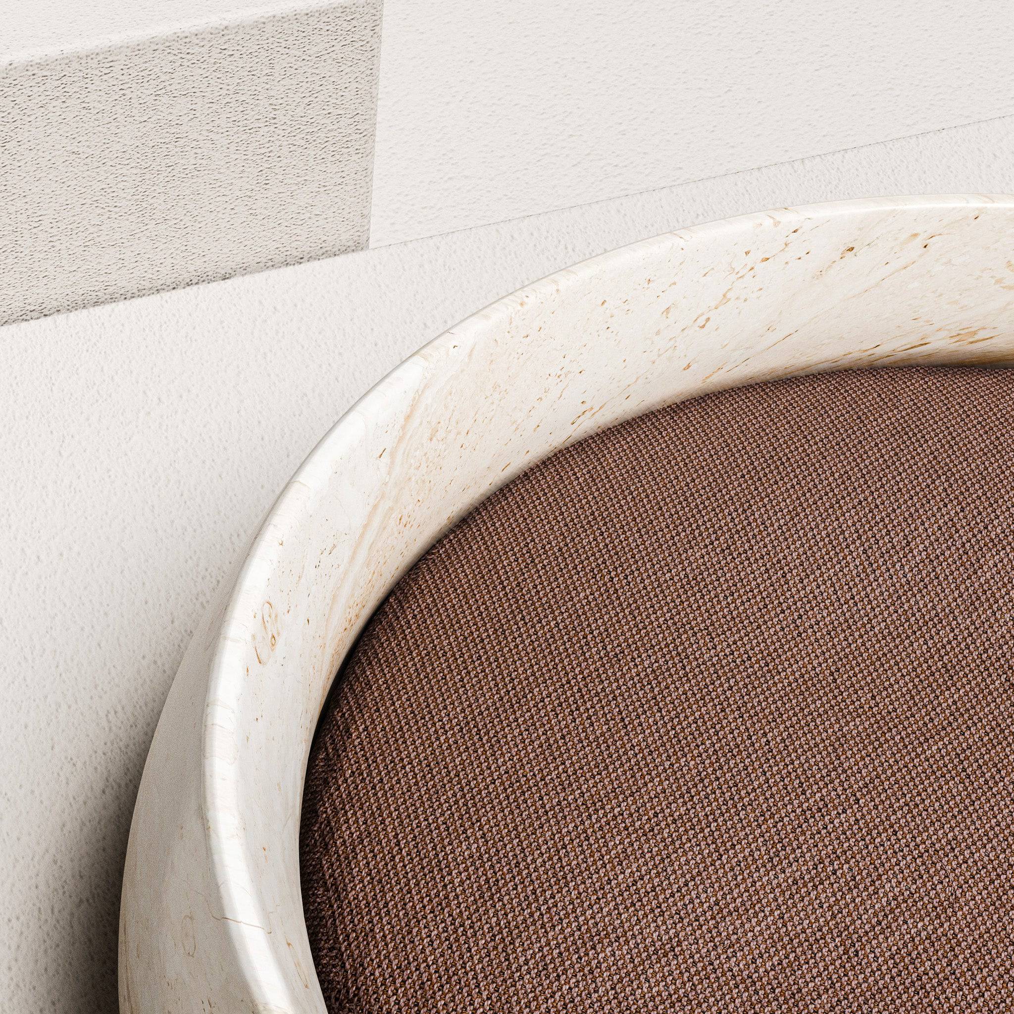 Cassius | Pet Bowl