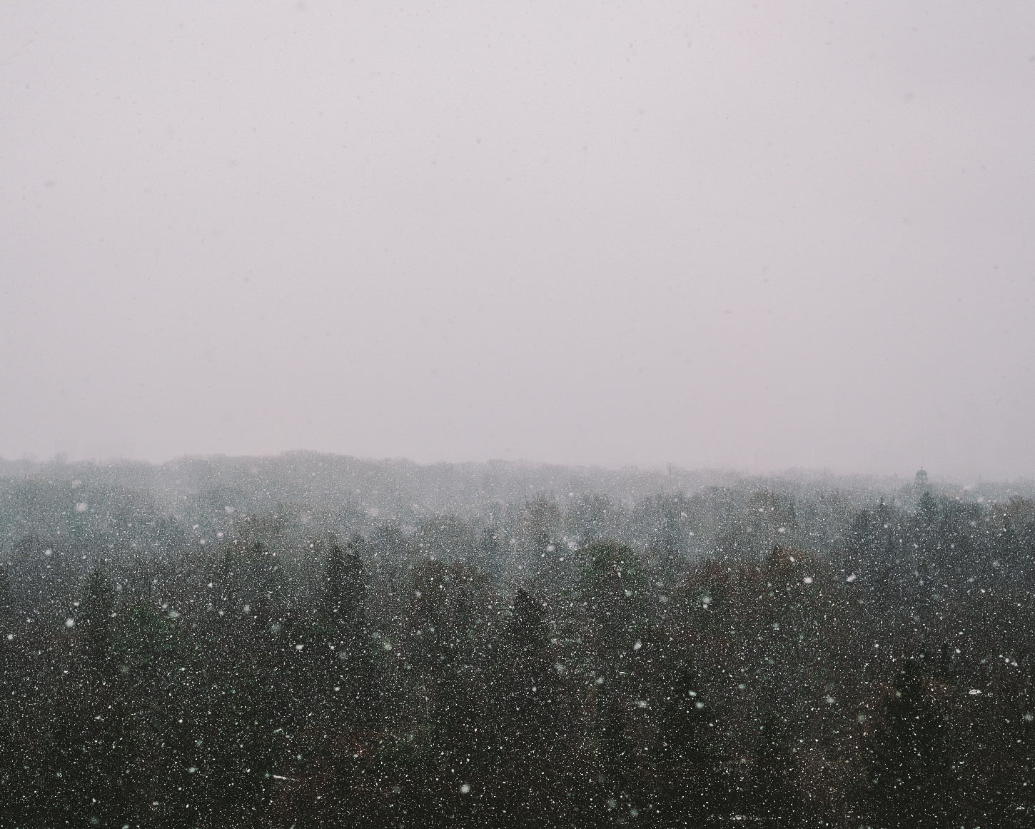 A serene winter landscape showing a snow-covered forest under an overcast sky. Snowflakes are visibly falling, creating a peaceful, wintry atmosphere. The dense trees fade into the misty gray horizon.